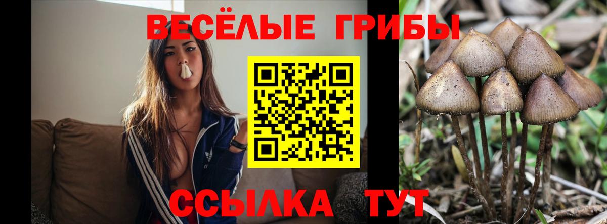 Людиново  Псилоцибиновые грибы GOLDEN TEACHER  Псилоцибиновые грибы прущие грибы  Вход с VPN 