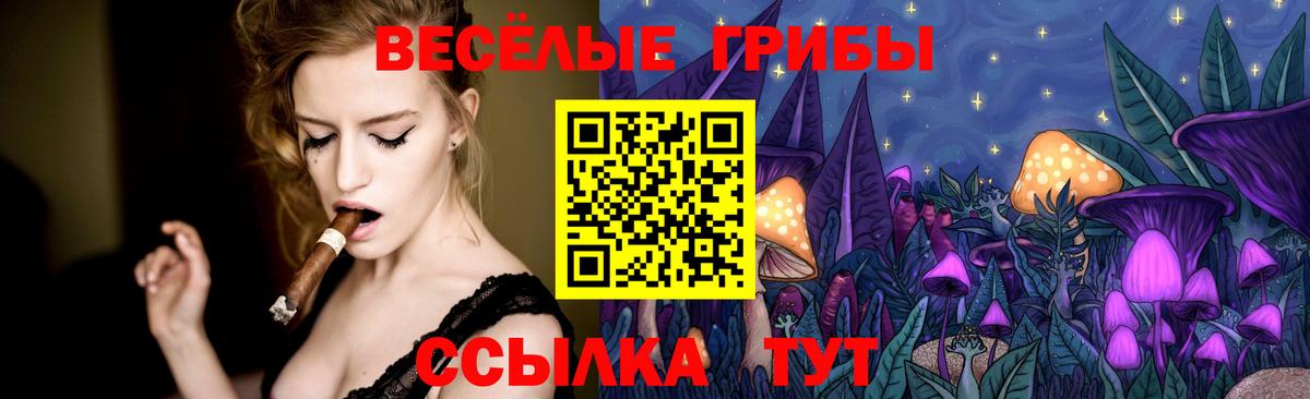 Псилоцибиновые грибы мухоморы Людиново